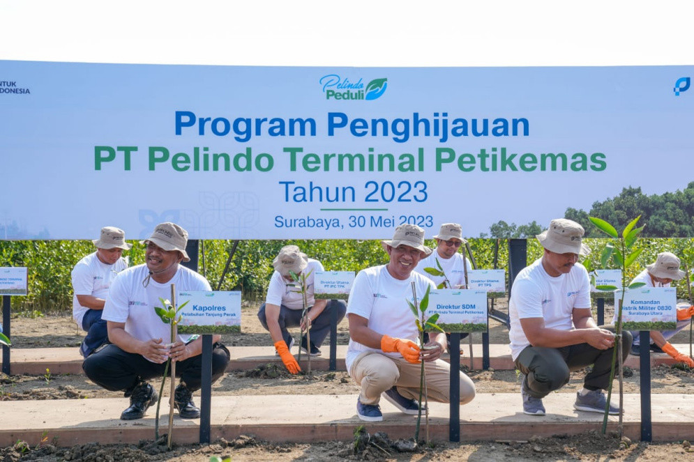 Hijaukan Area Pelabuhan, Pelindo Terminal Petikemas Tanam 55 Ribu Mangrove