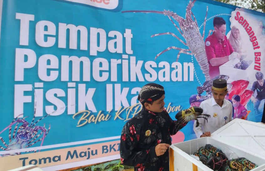 1,7 Ton Kepiting Bakau Maluku Diekspor ke Pasar ASEAN