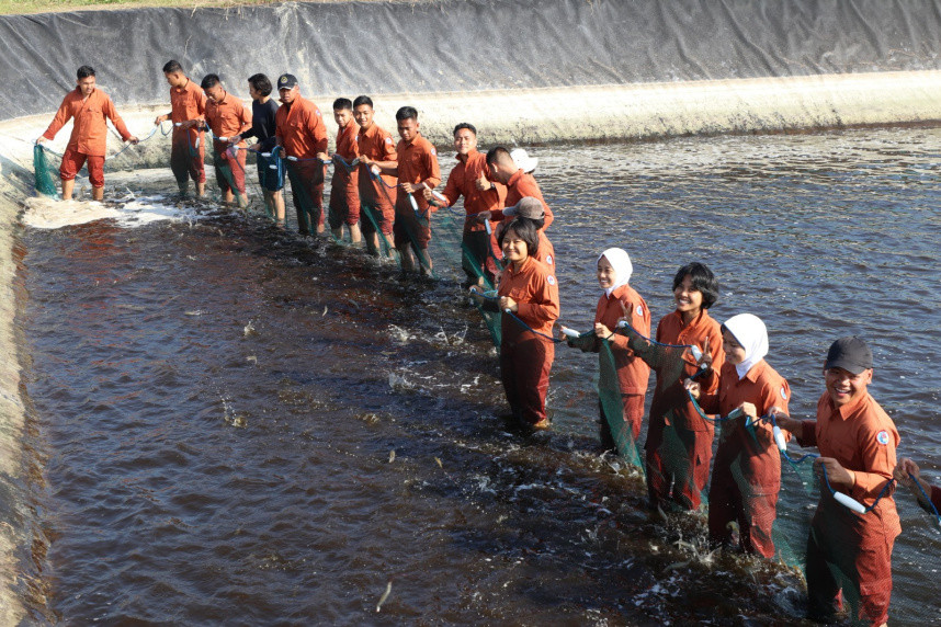 Keren! Udang Hasil Budidaya Taruna KKP Diserap Pasar