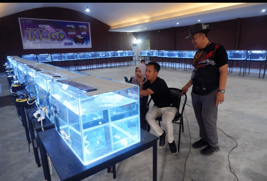 Gelar Pasar Ikan Hias Digital, KKP Fasilitasi Pehobi dan Pedagang