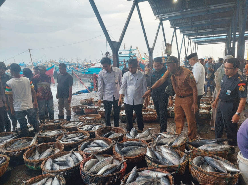 KKP dan Pemprov Turun Tangan, Harga Ikan di Aceh Kembali Stabil