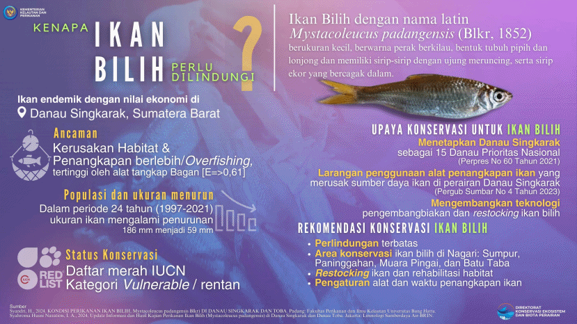 Populasi Terancam Punah, Pengelolaan Ikan Bilih di Danau Singkarak Bakal Diatur KKP