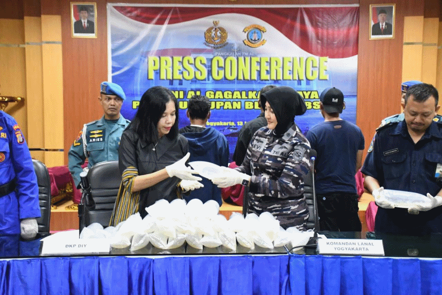 Lagi, Tim SFQR Gagalkan Penyelundupan Baby Lobster di Kulonprogo