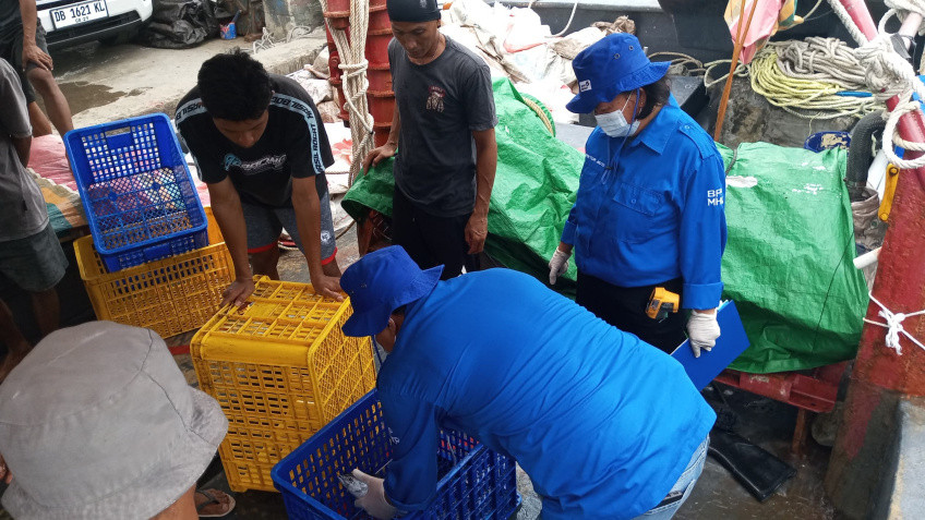 Cek Penerapan Cara Penanganan Ikan yang Baik di Kapal Perikanan, KKP Jemput Bola