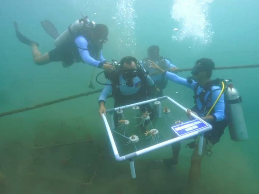 Peduli Ekosistem Laut, Pasukan Katak Tanam Terumbu Karang