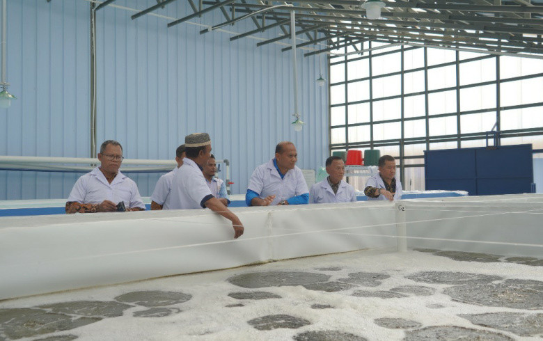 Genjot Produksi Udang Nasional, KKP Sokong Usaha Pembenihan Swasta