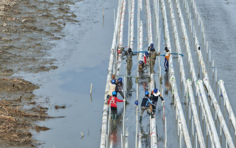 KKP Tancap Gas Perkuat Program Stratnas Sektor Perikanan Budidaya