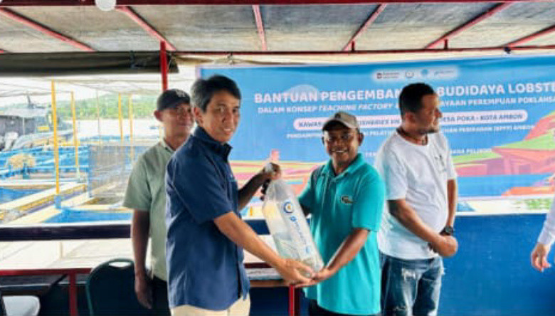 Pelindo Terminal Petikemas Bantu Pengembangan Budidaya Lobster di Ambon
