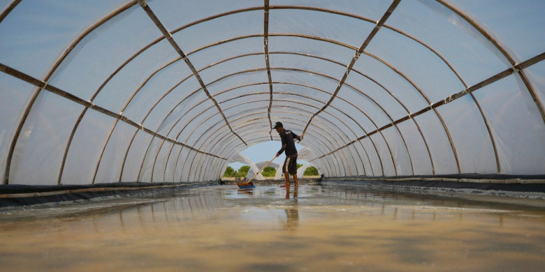 Bantu Petambak Garam Genjot Produksi, KKP Terapkan Teknologi SWSO