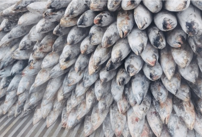 KKP Awasi Perusahaan Asing Penyuplai Bahan Pangan Asal Ikan