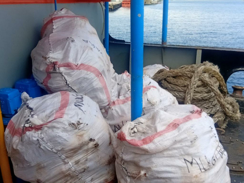 1,5 Ton Kayu Stigi Mau Diselundupkan, Digagalkan Kodaeral VII di Pelabuhan Tenau Kupang