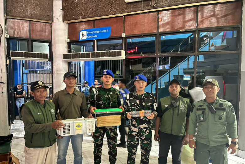 Burung Langka Dimasukkan ke Botol Air Mineral, Mau Diselundupkan Digagalkan Patroli TNI AL di KM Dempo