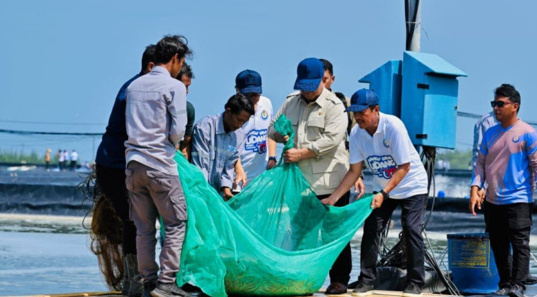 Presiden Prabowo Panen Raya Udang di BUBK Kebumen, Indonesia Berpotensi Jadi Produsen Nomor Satu di Dunia