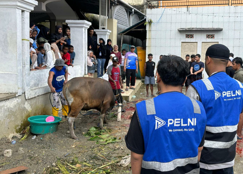 Iduladha 2026, PELNI Tebar Hewan Kurban di Wilayah Operasional