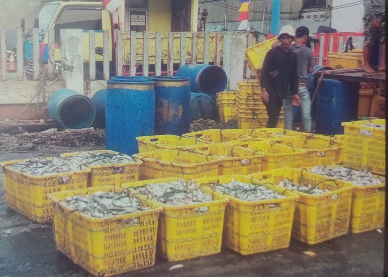 Waah.. Kemarau Membawa Berkah, Hasil Panen Nelayan Jakarta Melimpah