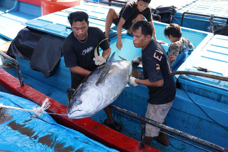 Tarif Tuna Cakalang 0% ke Jepang, KKP Jaga Rantai Produksi dan Tata Kelola