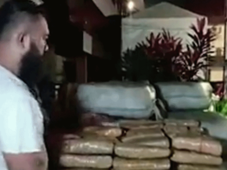 Ganja Aceh 1,3 Ton Gagal Dipasok ke Jakarta, Sindikat Digulung di Medan