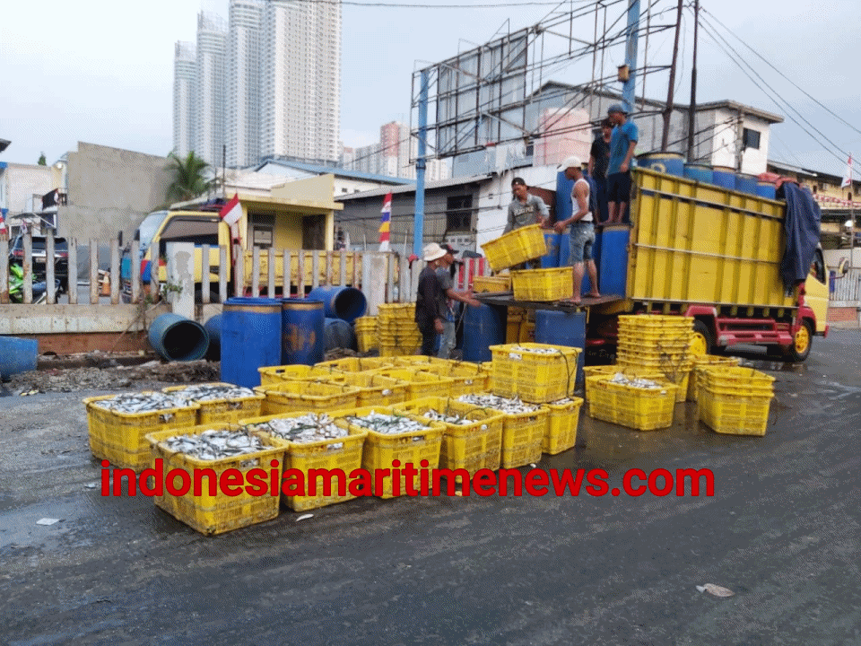 PNPB Subsektor Perikanan Tangkap KKP Meraih Rp1,26 Triliun, Naik 61 %