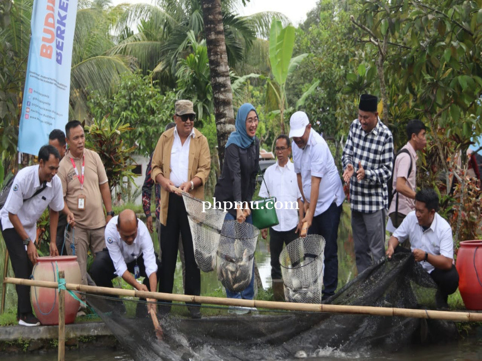 Budidaya Ikan Air Tawar di Lombok Tengah, Dongkrak Perekonomian dan Ketahanan Pangan